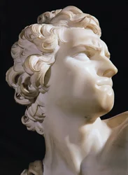 David (detail)